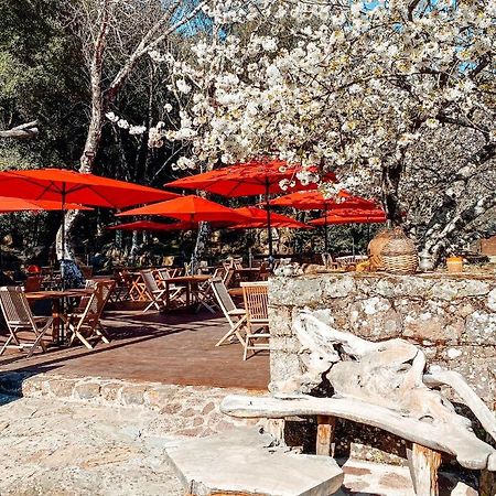 Auberge De La Foret Bonifatu Калензана Екстериор снимка