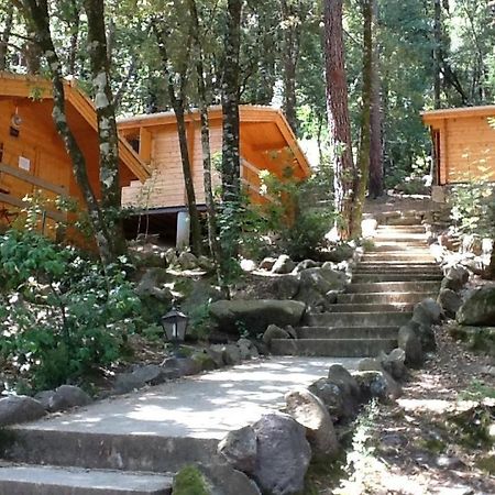 Auberge De La Foret Bonifatu Калензана Екстериор снимка