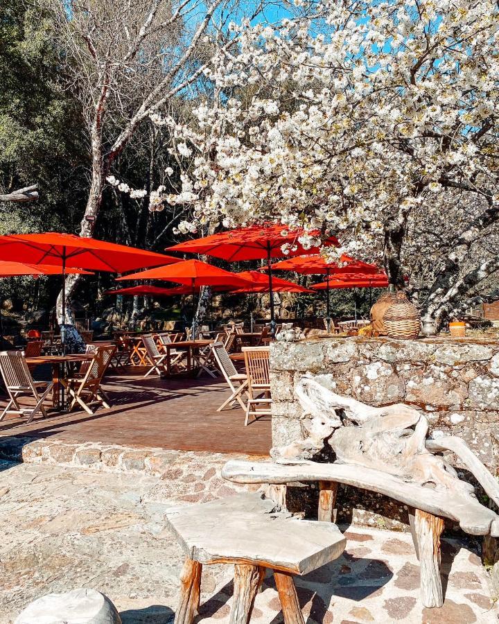 Auberge De La Foret Bonifatu Калензана Екстериор снимка