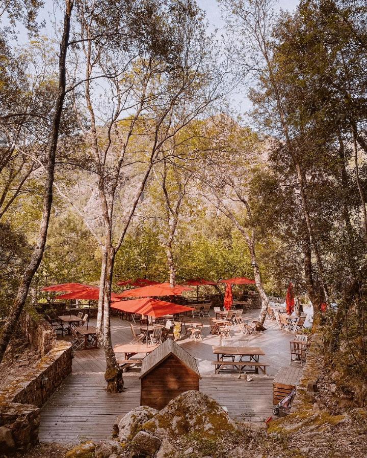 Auberge De La Foret Bonifatu Калензана Екстериор снимка