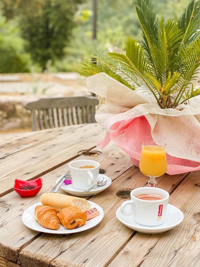 Auberge De La Foret Bonifatu Калензана Екстериор снимка