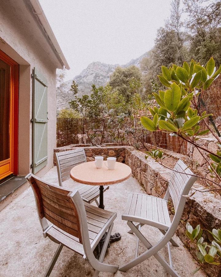 Auberge De La Foret Bonifatu Калензана Екстериор снимка