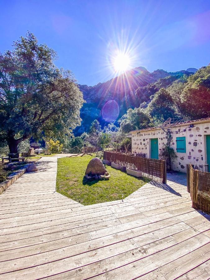 Auberge De La Foret Bonifatu Калензана Екстериор снимка