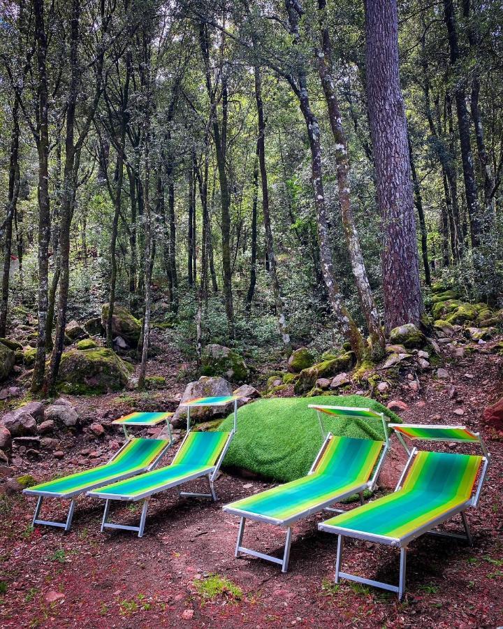 Auberge De La Foret Bonifatu Калензана Екстериор снимка