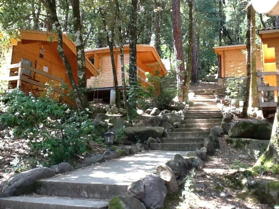 Auberge De La Foret Bonifatu Калензана Екстериор снимка