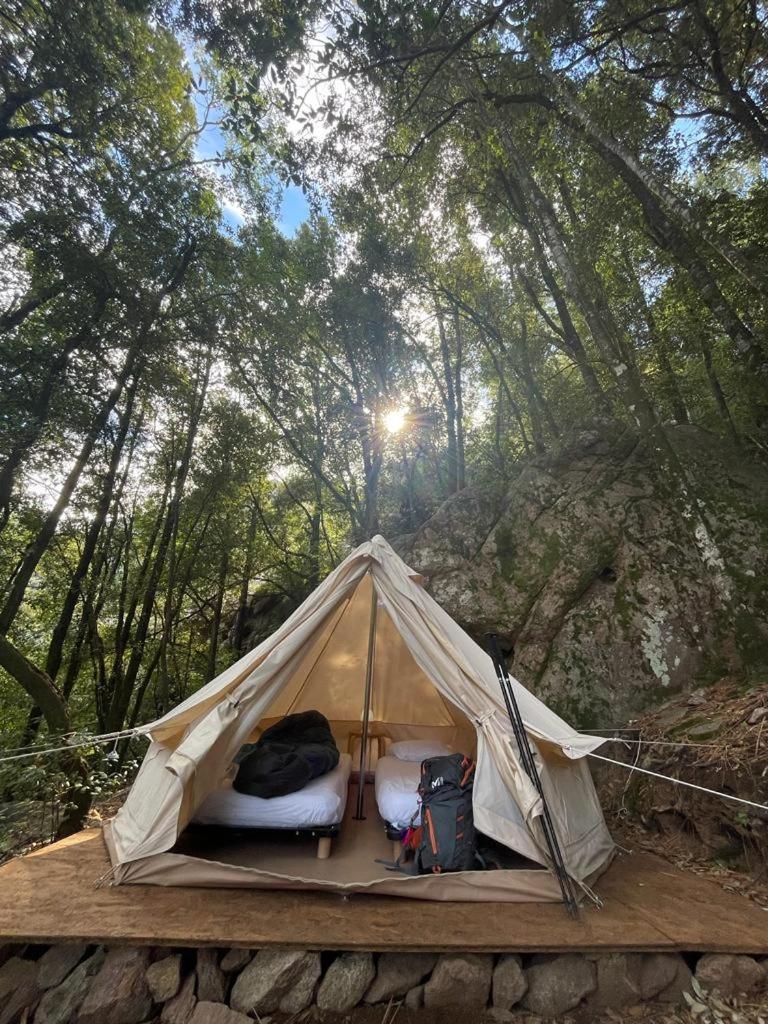 Auberge De La Foret Bonifatu Калензана Екстериор снимка