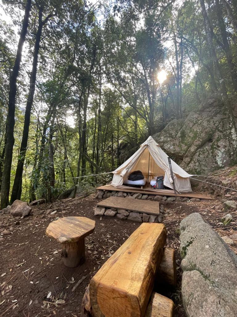 Auberge De La Foret Bonifatu Калензана Екстериор снимка